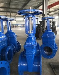 gate valve