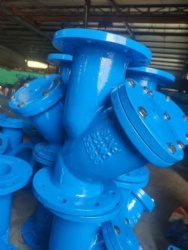 Y strainer